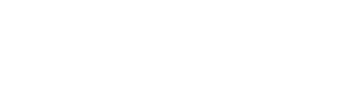 VOICE